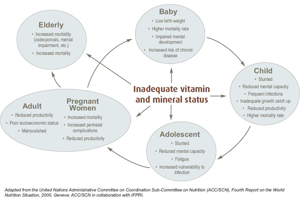 Consequences of Hidden Hunger throughout life cycle Source: MI Global Report, 2009.