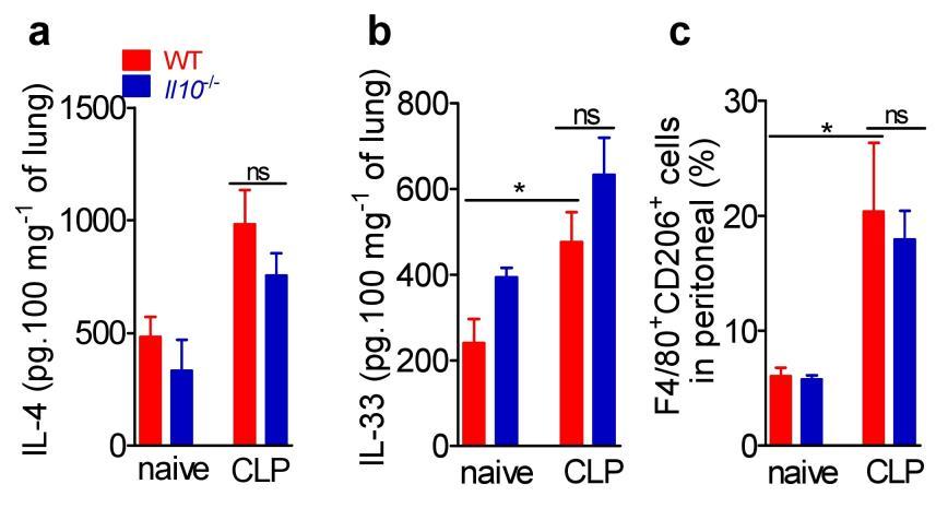 Supplementary Figure 11. C57BL/6J and Il10 -/- mice produced similar levels of type-2 cytokines and frequency of M2 macrophages during sepsis.