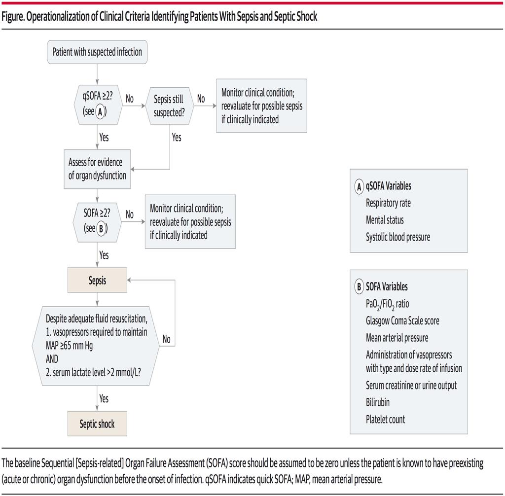 qsofa Proposed bedside algorithm in JAMA article on