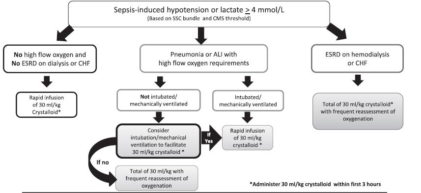 Application of Fluid Resuscitation in Adult Septic Shock User s Guide to the