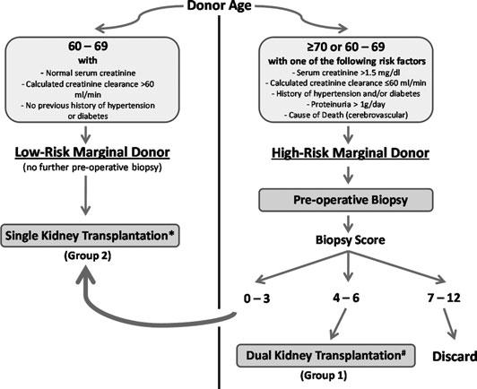 Unilateral Dual Kidney Transplantation Therefore, surgeons are often reluctant to perform the unilateral technique in DKT due to technical doubts and potential surgical complications, which could