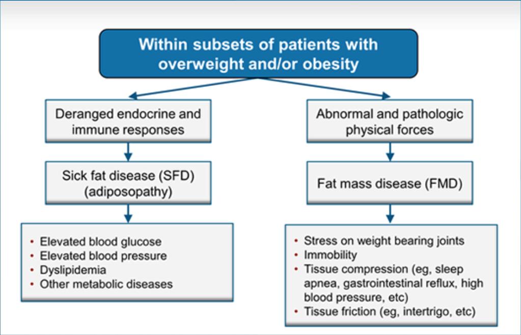 Obesity as a Disease American