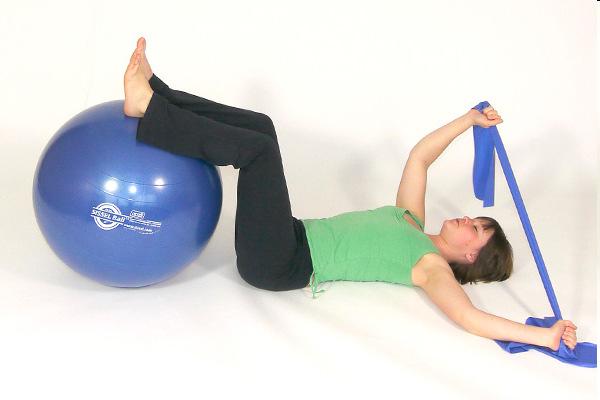 Exercise Program Supine resistance bands and stretching