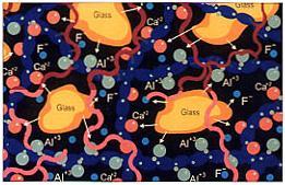 properties similar to bioactive glass Anti-bacterial Regulates