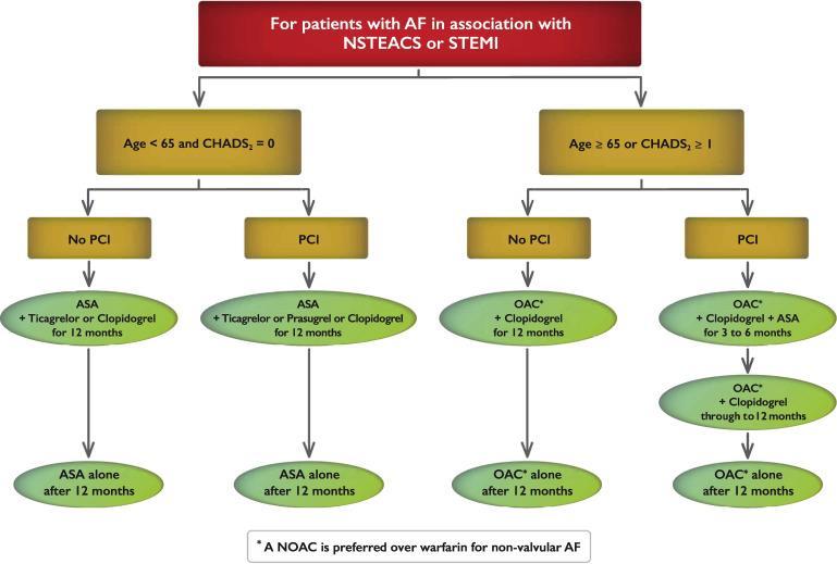 Figure 4 2016 Focused Update of the Canadian Cardiovascular Society Guidelines for the Management of Atrial Fibrillation