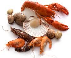 Fish and Seafood May enhance uptake of