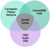 Dental Caries http://mi.