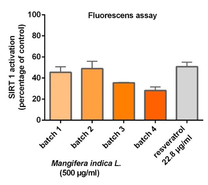 3. Mangifera indica for well-aging Activation of SIRT 1 using human recombinant enzyme -