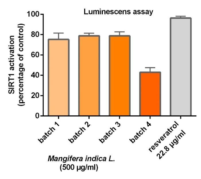 Resveratrol ~50% Luminescence assay All Mangifera fruit powder batches activated SIRT1 by >