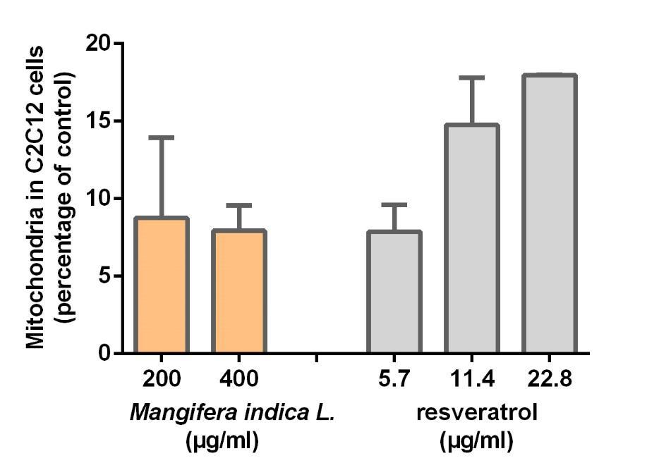 3. Mangifera indica for well-aging Mitochondrial biogenesis in liver and muscle cell lines - Results In
