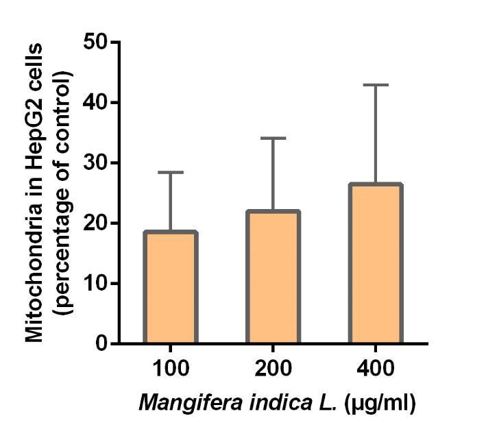 Resveratrol up to 17% In human hepatic cell line (HepG2) Mangifera fruit powder enabled mitochondrial