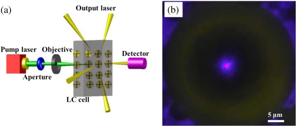 Fig. 2. (a) Schematic of optical setup for lasing. (b) Fluorescence image observed by optical microscope. The scale bar represents 5 m.