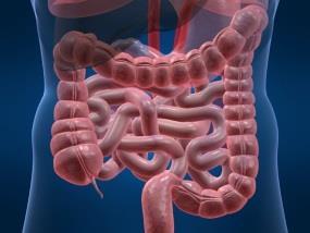 Organ System Involvement GI tract Stress ulcer