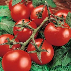 at local markets Tomatoes are excellent sources of certain nutrients and antioxidants See handout Antioxidants What are they?