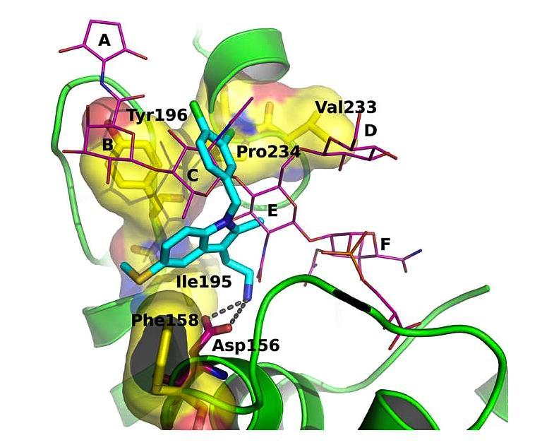 Virtualno rešetanje je temeljilo na strukturi S. aureus PBP2 v kompleksu z moenomicinom.