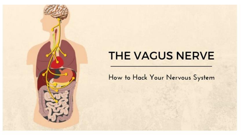 Neuroscience: Self Care & Vagal Tone The vagus nerve is the superhighway of the nervous system that connects the body and brain. We can tone the vagus nerve through deep breathing exercises.