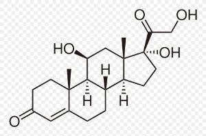 Stress Hormones: Cortisol Produced by Adrenal gland.