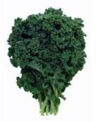 Increased Selectivity through Resolution 6.8 μg/kg Imidacloprid in kale sample (5x dilution) XIC of 256.
