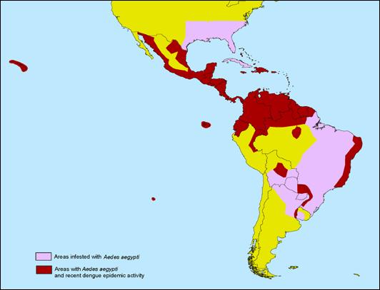 Dengue: Americas 29 2007 Puerto Rico Donation Retrospective Study Stramer et al.