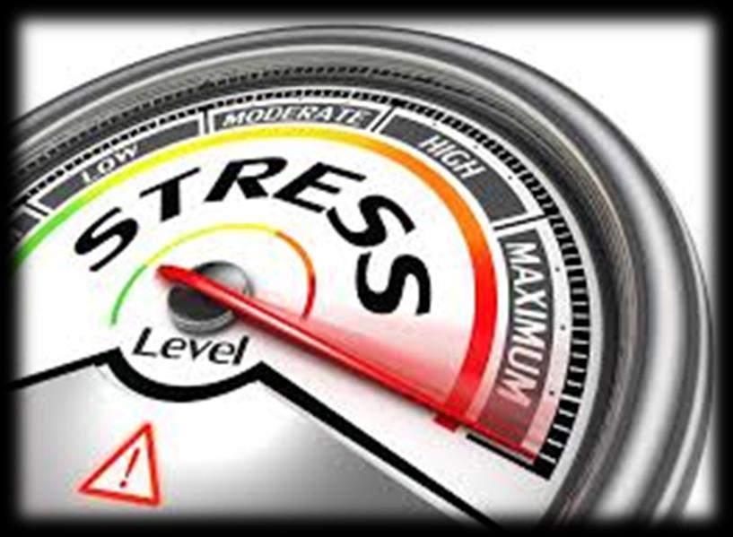 Stress Tolerance Levels Influencers Support Network