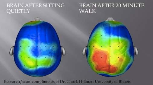 Changes in Brain Function Following Breaks Take A Walk Increase in blood flow Boosts creative thought Talk to