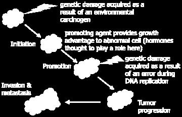 damage When these mechanisms fail, and a cell replicates, the DNA damage becomes