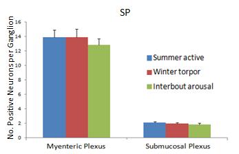 active, winter torpor and interbout arousal squirrels. Figure 4.