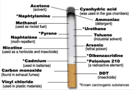 Tobacco contains more than 19 known cancer causing chemicals (most are