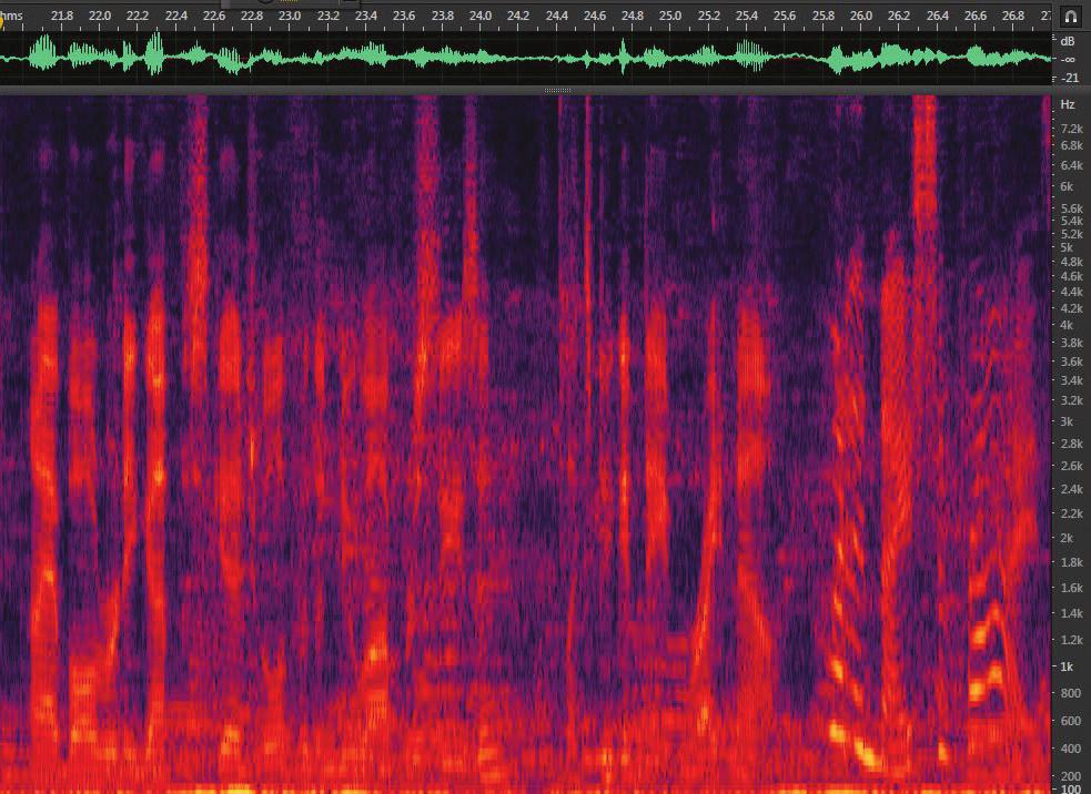 afternoon. The waveform at the top is hardly visible due to the low amplitude. in a small group The spectrograph in Fig.
