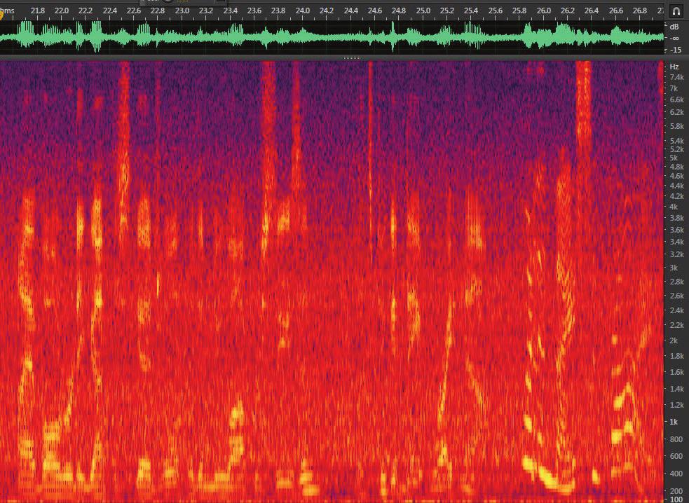 in a crowd in noise As the dinner hour approaches, the outdoor patio gets increasingly crowded with other patrons who also want to dine outside. The spectrograph in Fig.