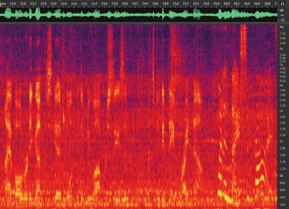 background noise. Busy commuter traffic has introduced increased noise from the street adjacent to the outdoor patio. The spectrograph in Fig.