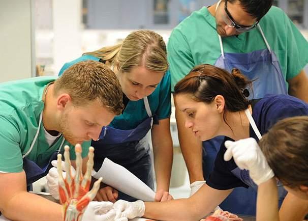 CHIROPRACTIC FACTS Training to become a Doctor of Chiropractic requires a minimum of six years of college study and clinic internship.