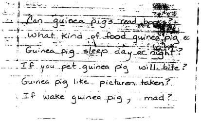 " Judy wrote down the questions while Charleen answered, telling the students that the guinea pig eats carrots,