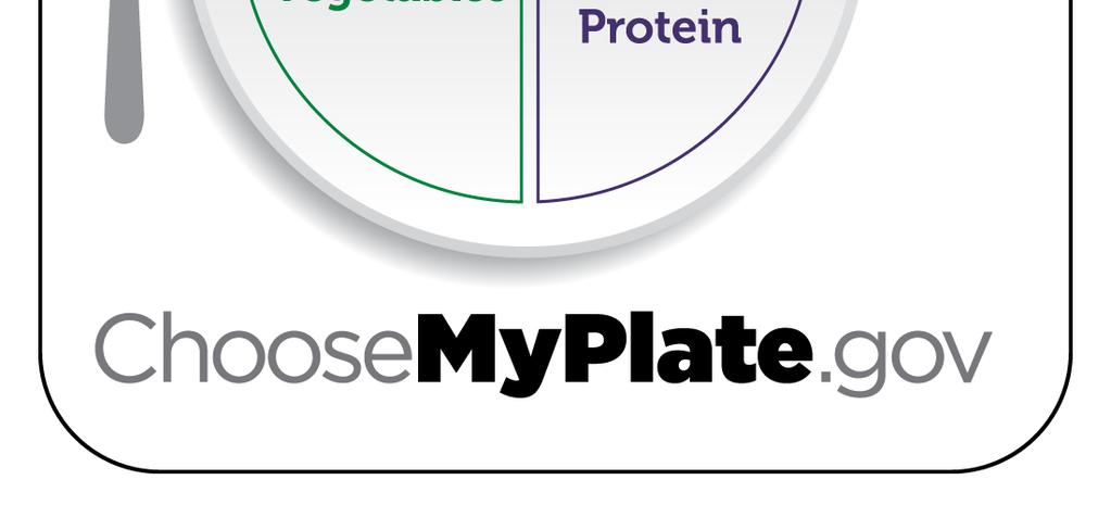 Use either the MyPlate format or a Diet Pyramid showing the