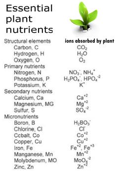 Essential Nutrients Photosynthesis Carbon Oxygen Hydrogen Macro Nutrients Nitrogen Phosphorus Potassium Calcium Magnesium Sulfur Micro Nutrients Zinc Iron Boron Manganese Copper Chlorine Nickel