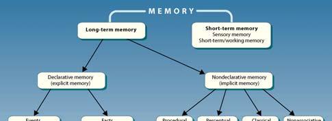 Summary Fig 8.40 Relationships of long-term memory systems 기억력의천재들 http://wnetwork.hani.co.kr/newyorker/view.html?