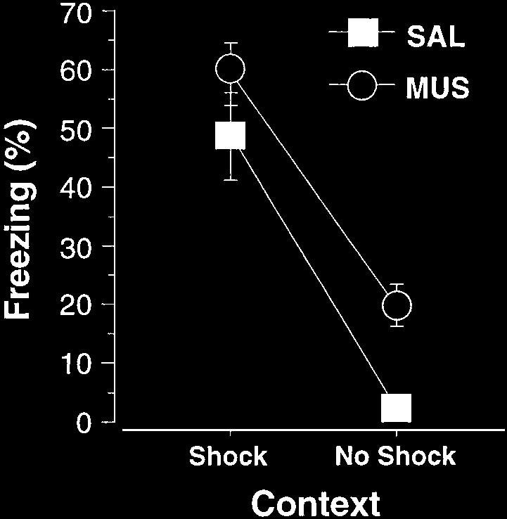 Mean ( SEM) percentage of freezing in a context paired with footshock (Shock) and a context not paired with footshock (No Shock) in rats that received dorsal hippocampal infusions of either muscimol