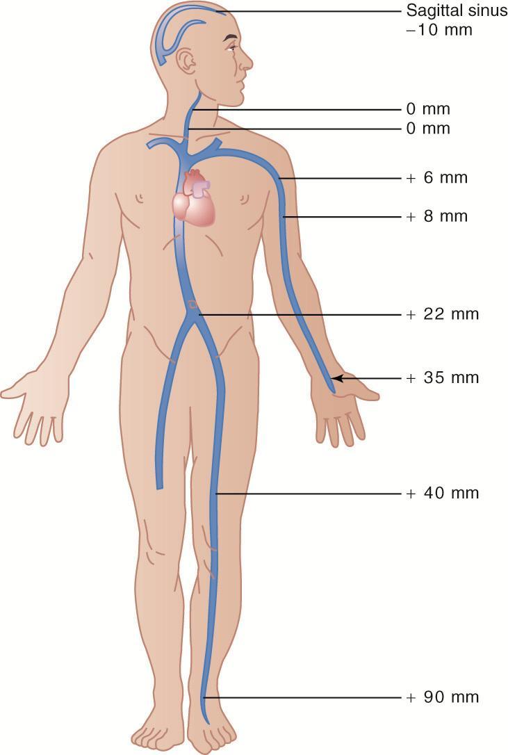 Venous Pressure in the Body Compressional factors tend to cause resistance to flow in large peripheral veins.