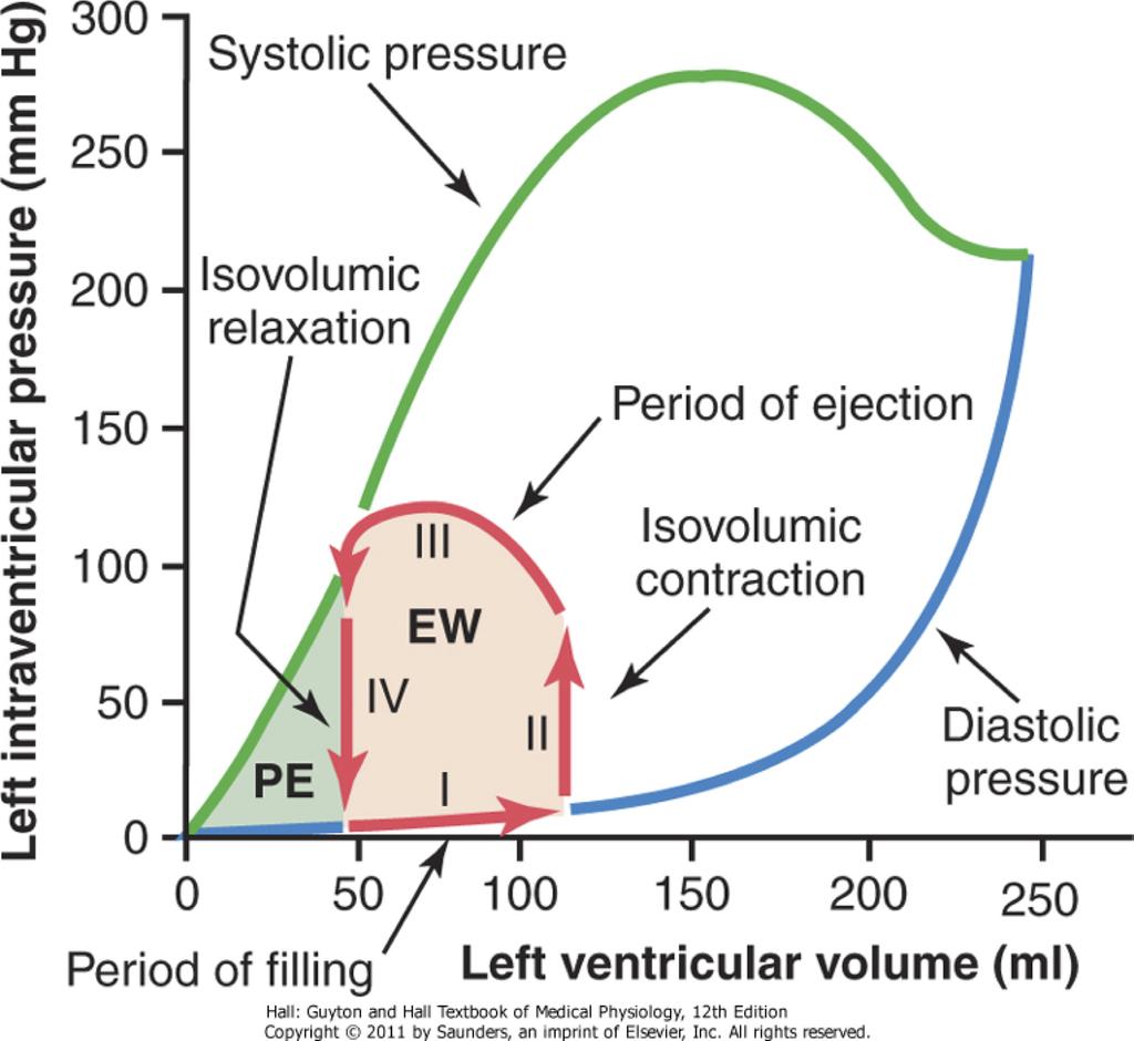 During exercise, the shift in the venous return curve is considerably different than during sympathetic stimulation. Why?