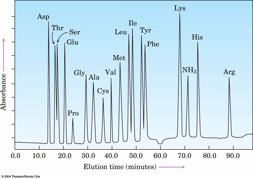 Reaction of primary amines with ninhydrin 3 R 2 Intense purple color Amino Acid Analysis hromatogram o, why is it necessary to use a post- rather than pre-column derivatization protocol?