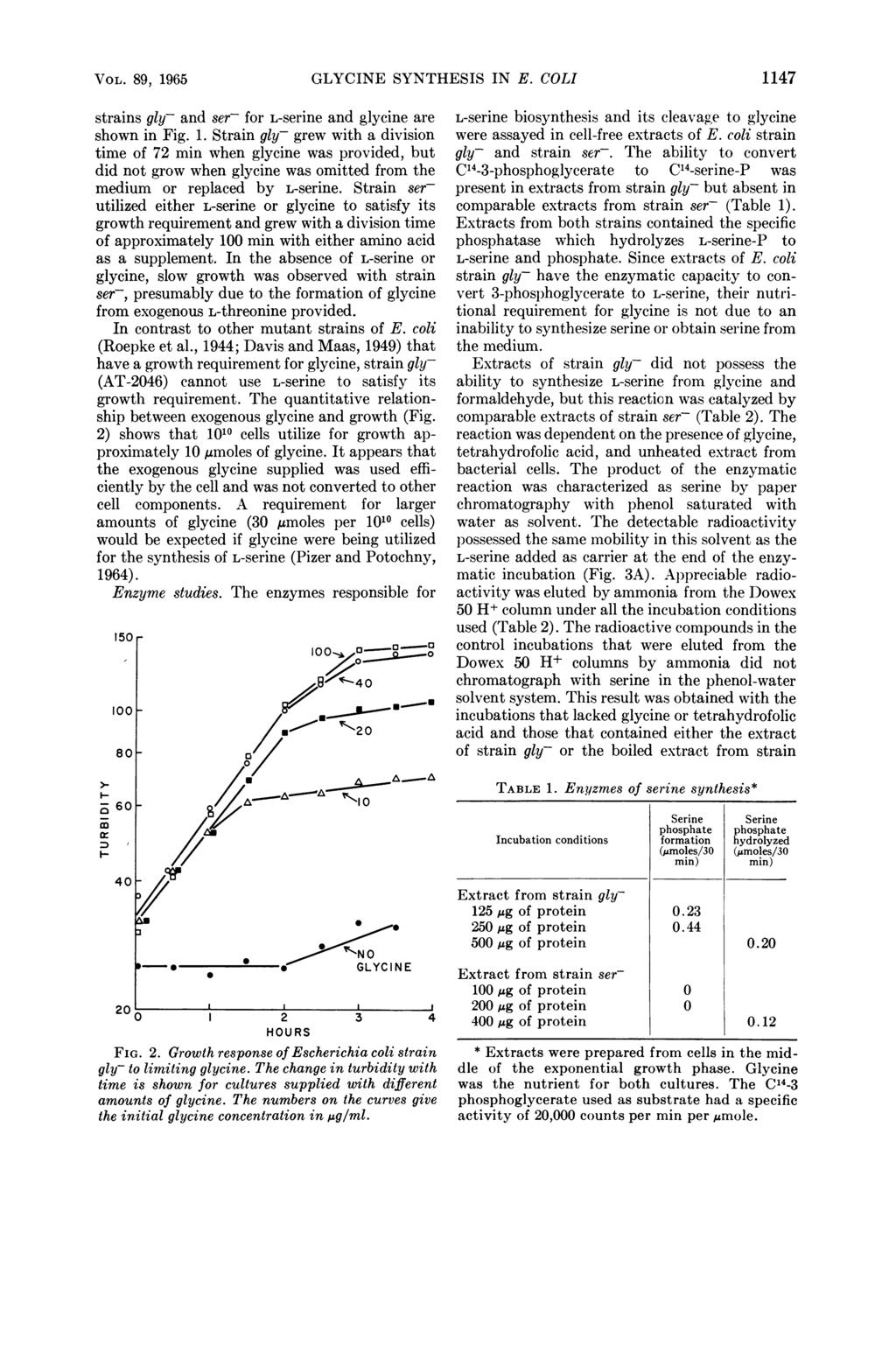 VOL. 89, 1965 strains gly- and ser- for L-serine and glycine are shown in Fig. 1. Strain gly- grew with a division time of 72 min when glycine was provided, but did not grow when glycine was omitted from the medium or replaced by L-serine.