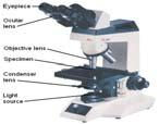 Microscopes Increase Resolution