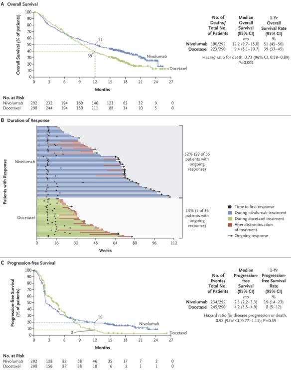 Imunno-Oncology vs. Targeted Therapy Nivolumab (PD-1 Inhibitor) vs.