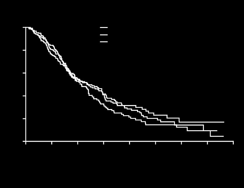 Probability Results: Overall Survival 1.0 0.8 0.6 0.4 Observation median 10.8 mo Gemcitabine median 12.1 mo Erlotinib median 11.
