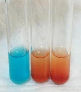 Sucrose (-) Glucose (+) Lactose (+) Method: 1. One ml of a sample solution is placed in a test tube. 2.