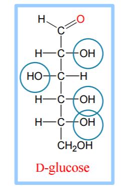 Carbohydrates are defined as the polyhydroxy aldehydes or polyhydroxy ketones. Most, but not all carbohydrate have a formula (CH 2 O)n (hence the name hydrate of carbon). Sugars ends with ose.