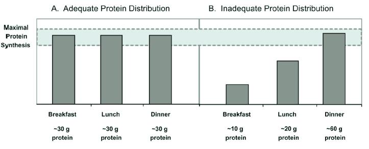 Consume moderate amounts of high quality protein at each meal to maximize muscle protein