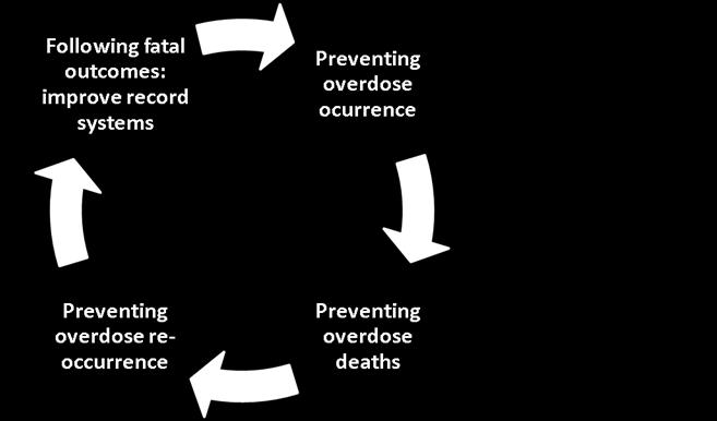 These deaths occur generally shortly after the consumption of the substance (EMCDDA, 2009a, p.