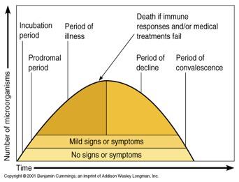 Course of infectious disease incubation period time after pathogen entry but before signs & symptoms appear prodromal stage onset of signs &