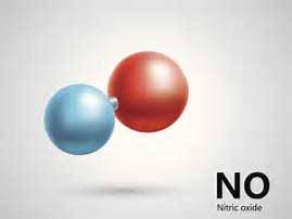 What is Nitric Oxide (NO)?